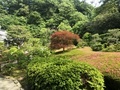 [Garden]