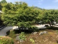 [Garden]
