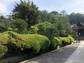 [Garden]