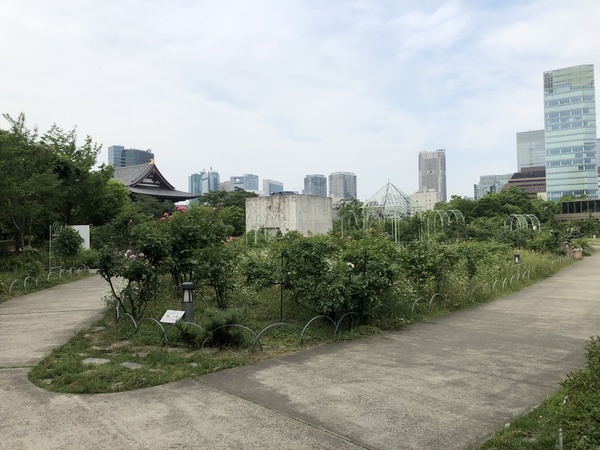 [Garden]