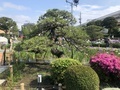 [Garden]