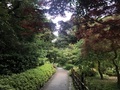 [Garden]
