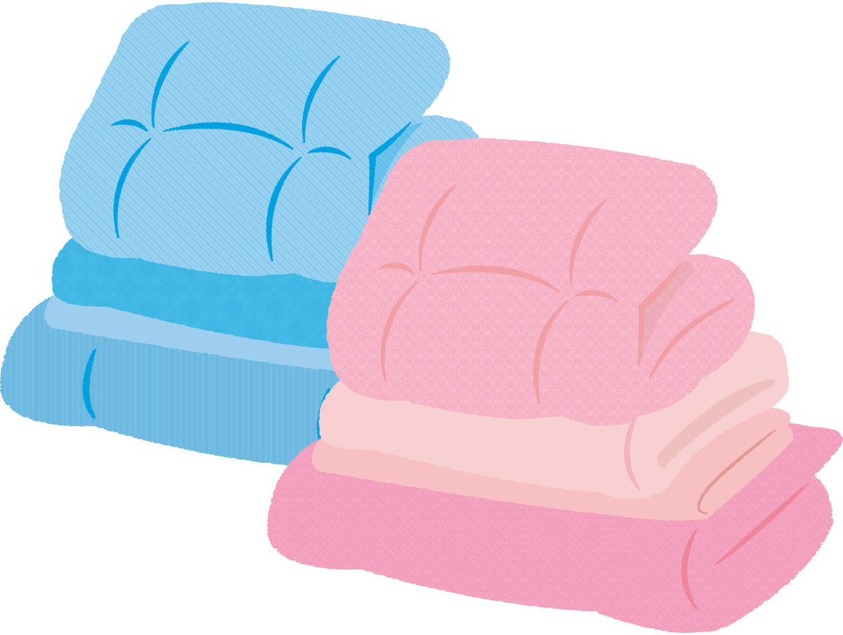 羽毛掛けふとん 布団 富士新幸 ネオヴェリィ