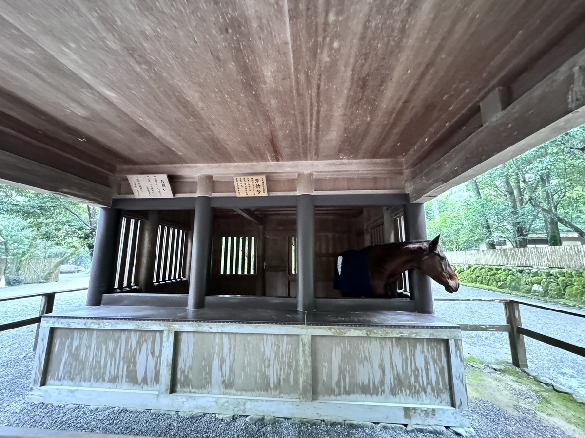 伊勢神宮の神馬に出会う幸運！御厩で叶う神聖な参拝体験 - 伊勢神宮