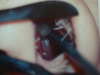 f:id:airindia40kun:20170609132516j:plain