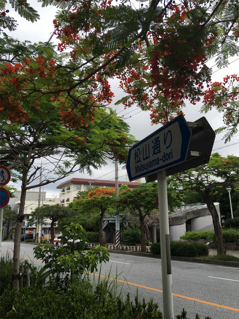 f:id:airline-sanpo:20160521114052j:image f:id:airline-sanpo:20160521114052j:image