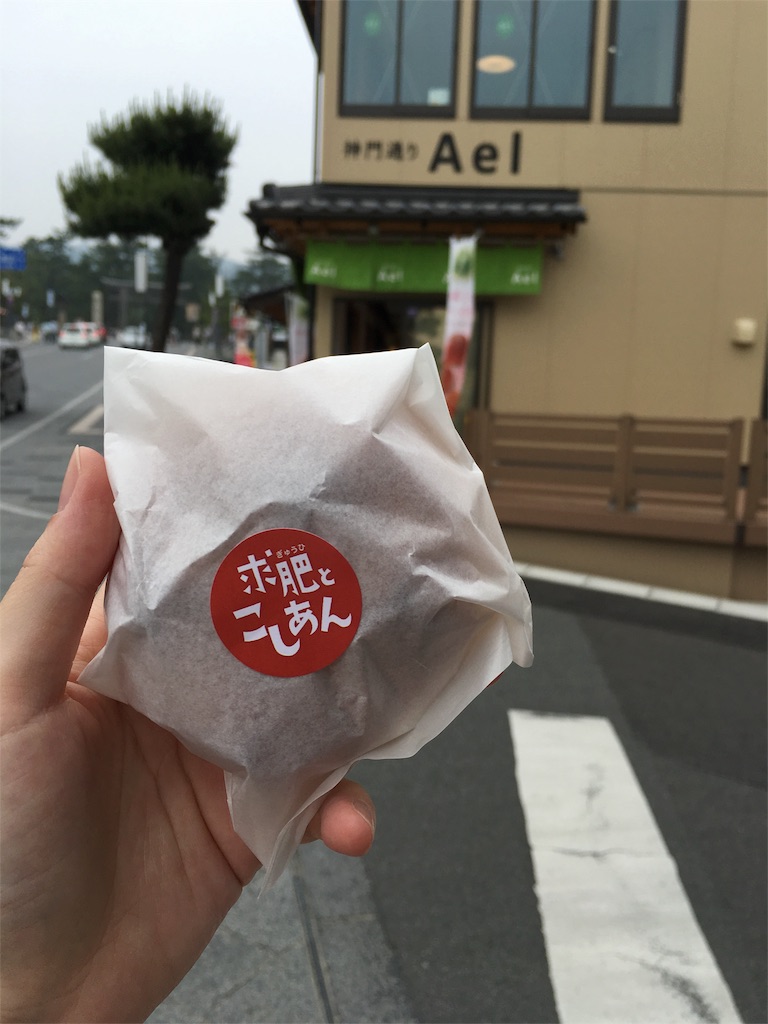 f:id:airline-sanpo:20160529195158j:image f:id:airline-sanpo:20160529195158j:image