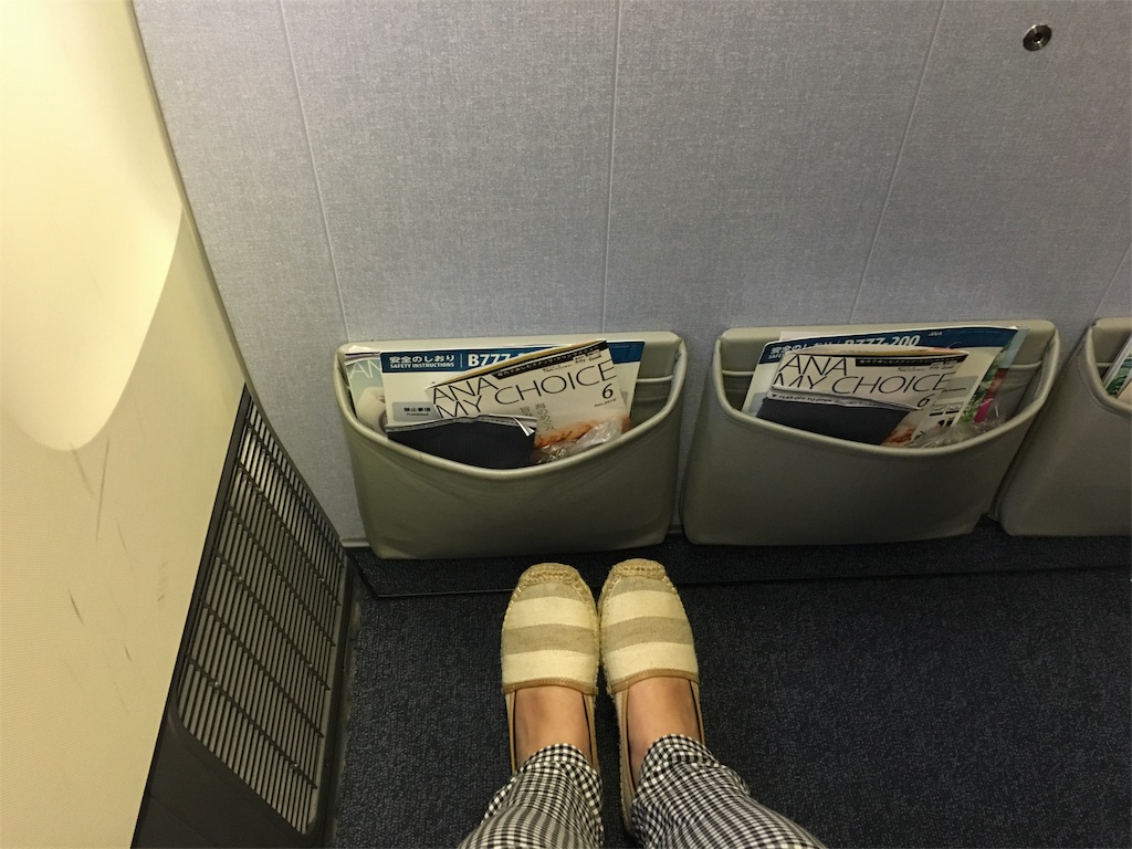 f:id:airline-sanpo:20160605095022j:image f:id:airline-sanpo:20160605095022j:image