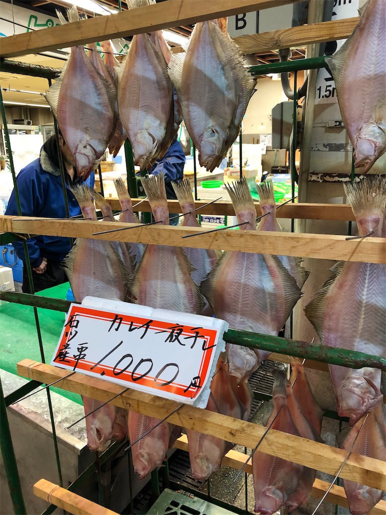 f:id:airline-sanpo:20190210173018j:image f:id:airline-sanpo:20190210173018j:image