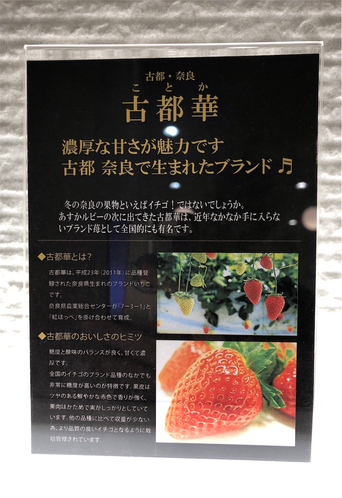 f:id:airline-sanpo:20190210174046j:image f:id:airline-sanpo:20190210174046j:image
