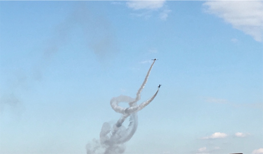 f:id:airline-sanpo:20190213192425j:image f:id:airline-sanpo:20190213192425j:image