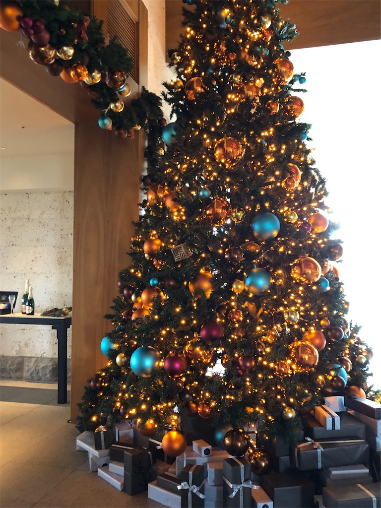f:id:airline-sanpo:20190225200719j:image f:id:airline-sanpo:20190225200719j:image
