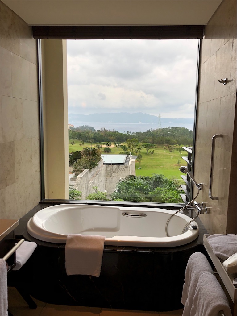 f:id:airline-sanpo:20190225202911j:image f:id:airline-sanpo:20190225202911j:image