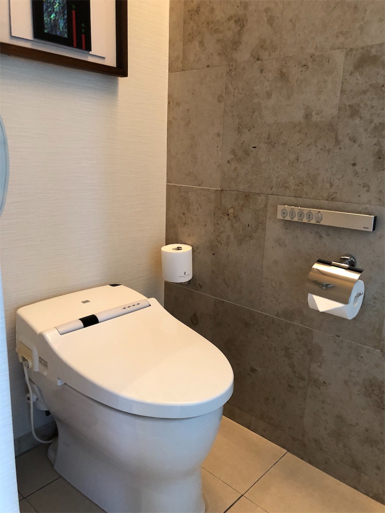 f:id:airline-sanpo:20190225202920j:image f:id:airline-sanpo:20190225202920j:image
