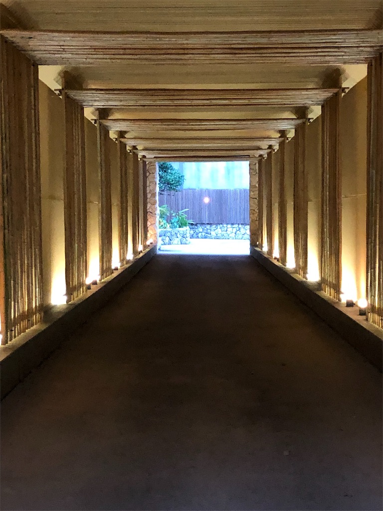 f:id:airline-sanpo:20190225211737j:image f:id:airline-sanpo:20190225211737j:image