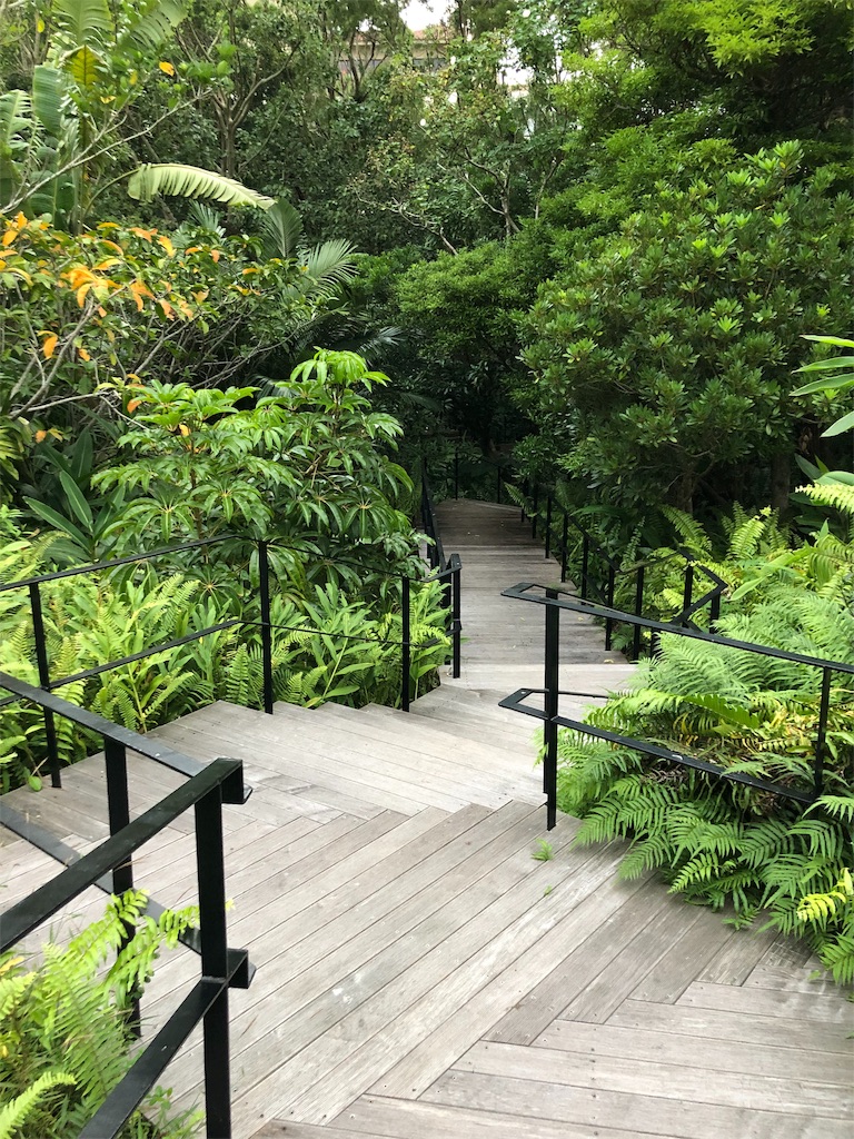 f:id:airline-sanpo:20190225211747j:image f:id:airline-sanpo:20190225211747j:image