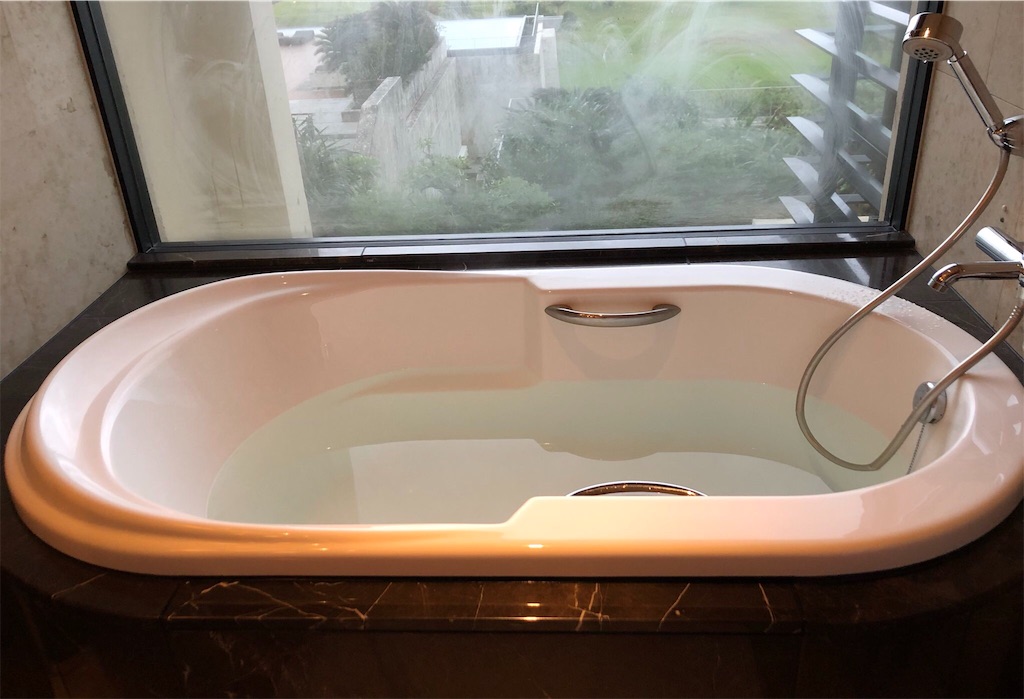 f:id:airline-sanpo:20190225213113j:image f:id:airline-sanpo:20190225213113j:image