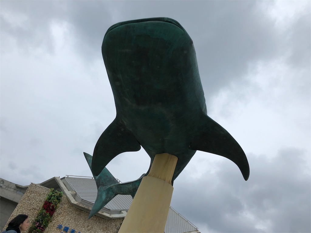 f:id:airline-sanpo:20190225214749j:image f:id:airline-sanpo:20190225214749j:image