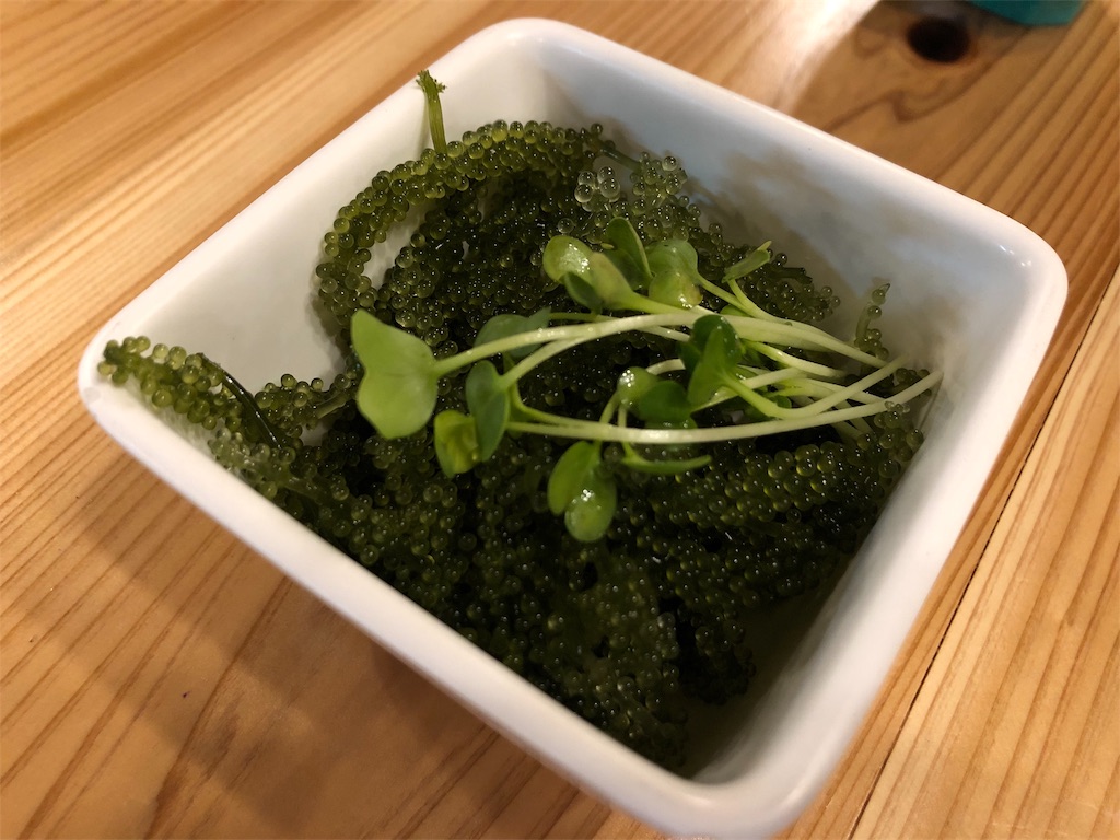 f:id:airline-sanpo:20190225214808j:image f:id:airline-sanpo:20190225214808j:image