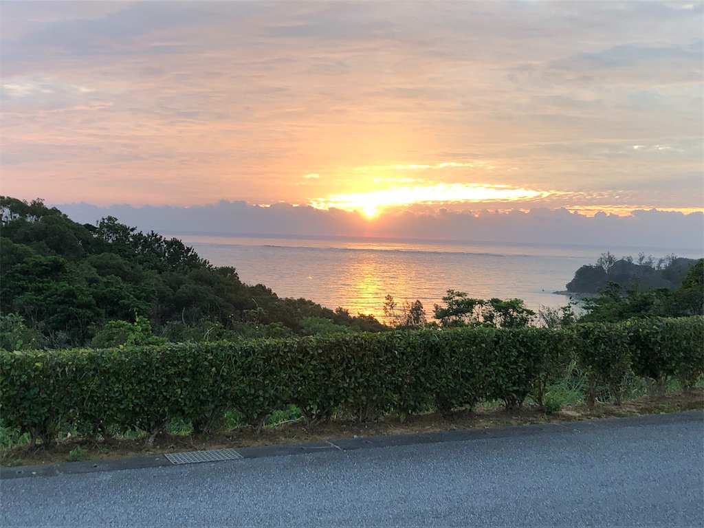 f:id:airline-sanpo:20190225214825j:image f:id:airline-sanpo:20190225214825j:image