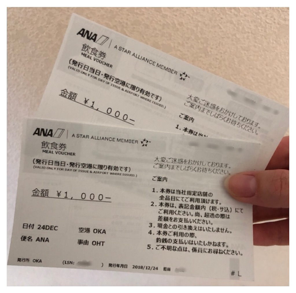 f:id:airline-sanpo:20190225215346j:image f:id:airline-sanpo:20190225215346j:image