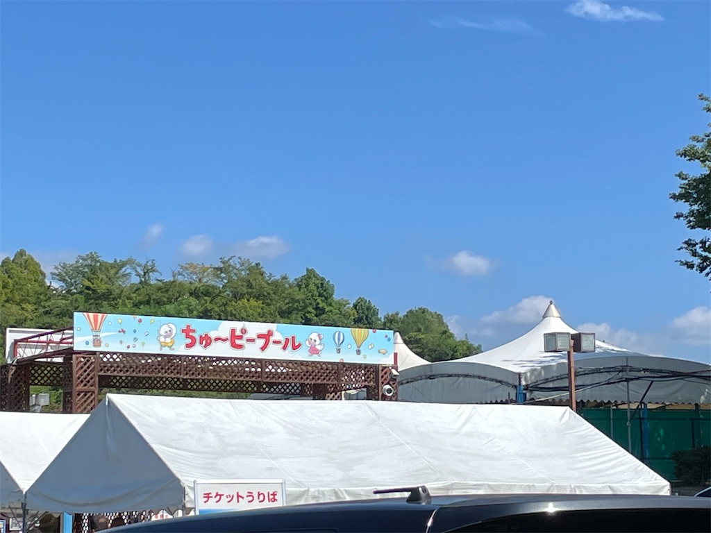 f:id:aironbiizumiyu:20240824162015j:image