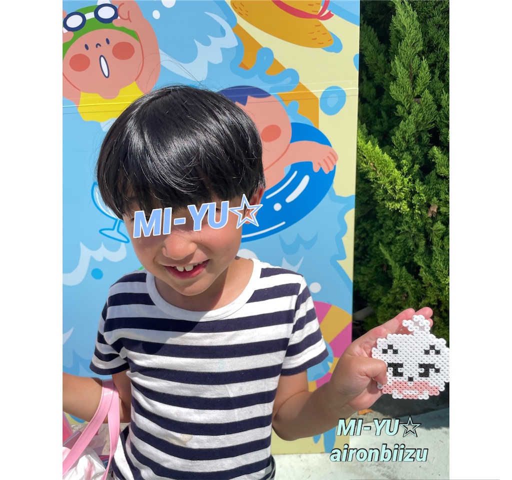 f:id:aironbiizumiyu:20240824162237j:image