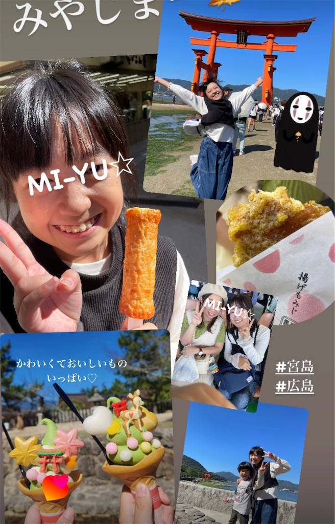 f:id:aironbiizumiyu:20241013065722j:image