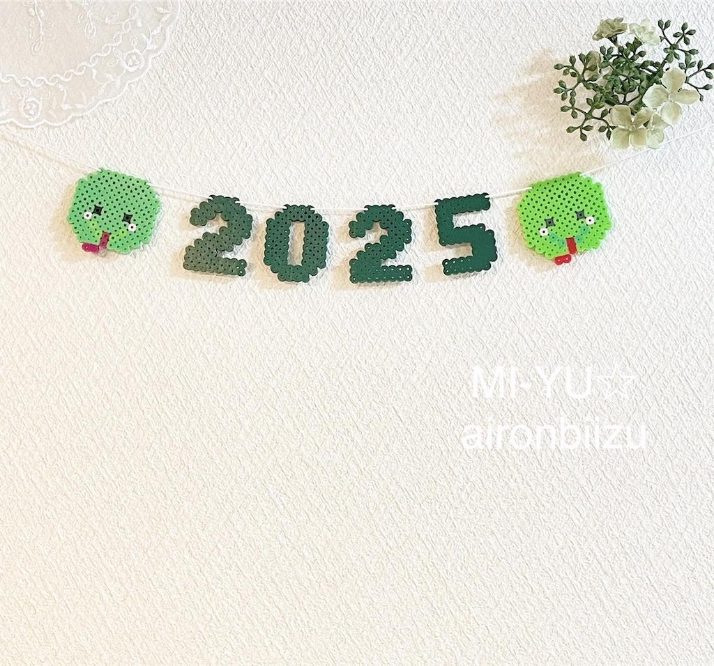 f:id:aironbiizumiyu:20241207160430j:image