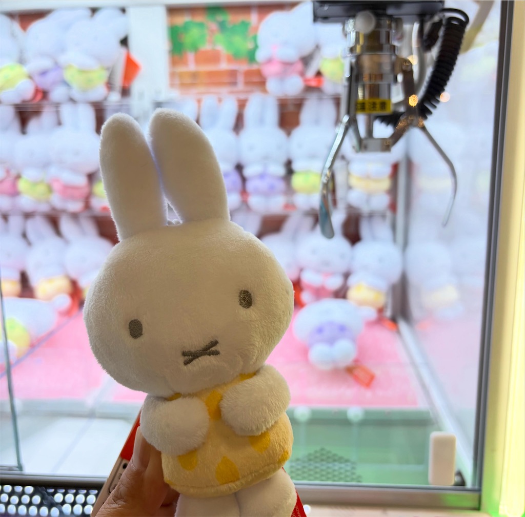 f:id:aironbiizumiyu:20260621225538j:image
