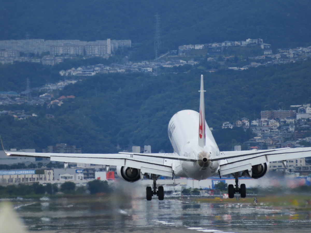 f:id:airplanelove:20190715092553j:plain f:id:airplanelove:20190715092553j:plain