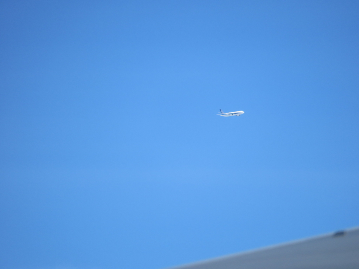 f:id:airplanelove:20190715205040j:plain f:id:airplanelove:20190715205040j:plain