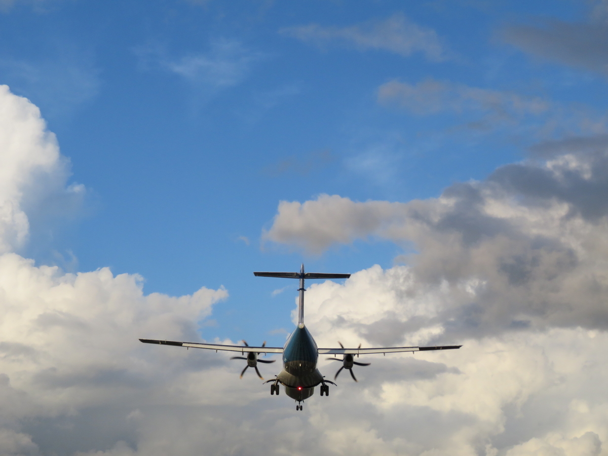 f:id:airplanelove:20190808201401j:plain f:id:airplanelove:20190808201401j:plain
