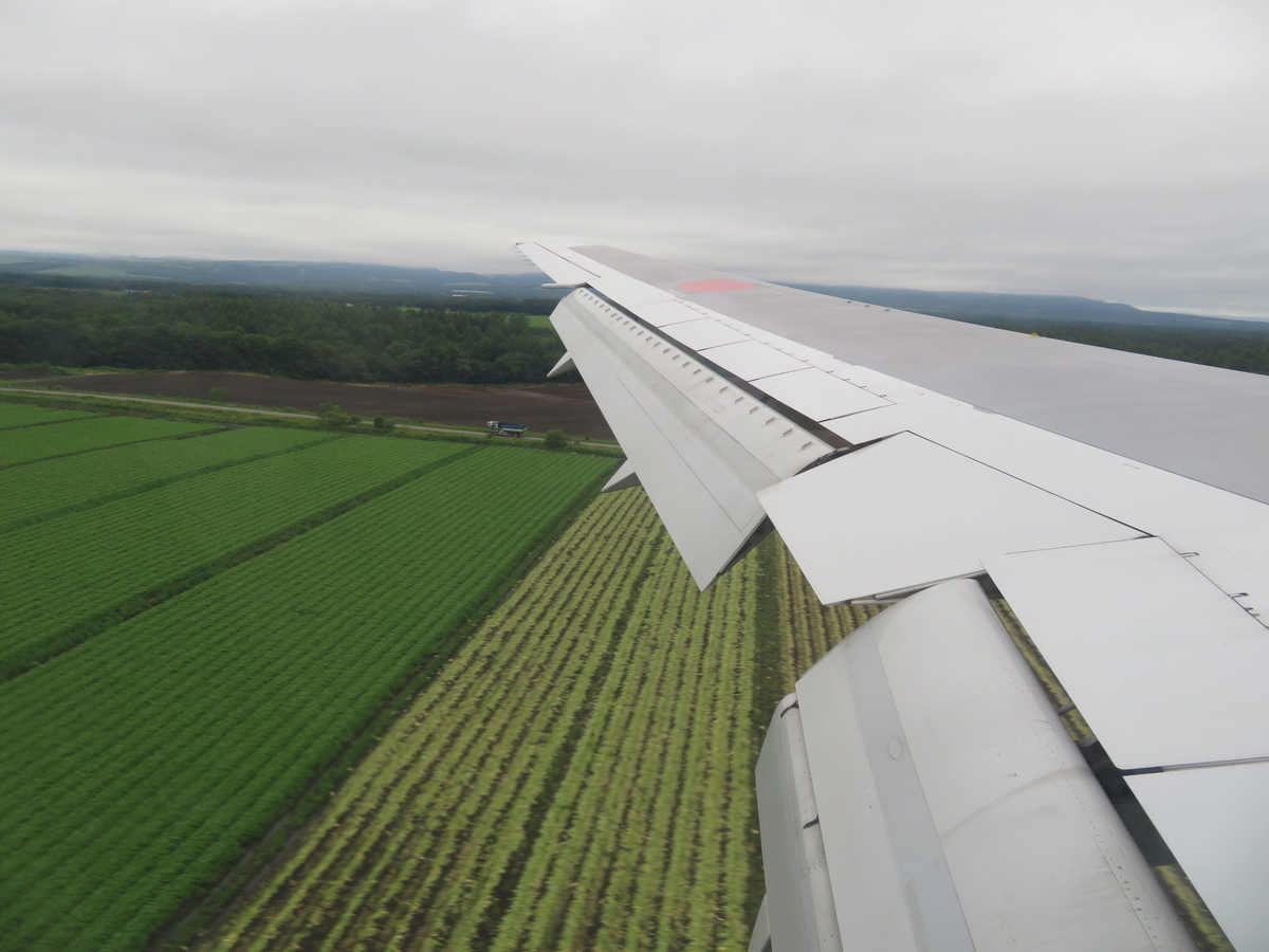 f:id:airplanelove:20190828203522j:plain f:id:airplanelove:20190828203522j:plain