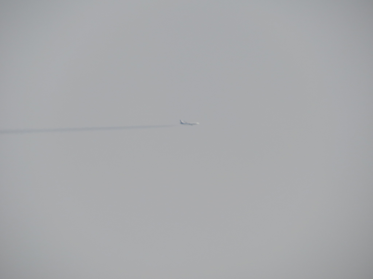 f:id:airplanelove:20191111205827j:plain f:id:airplanelove:20191111205827j:plain