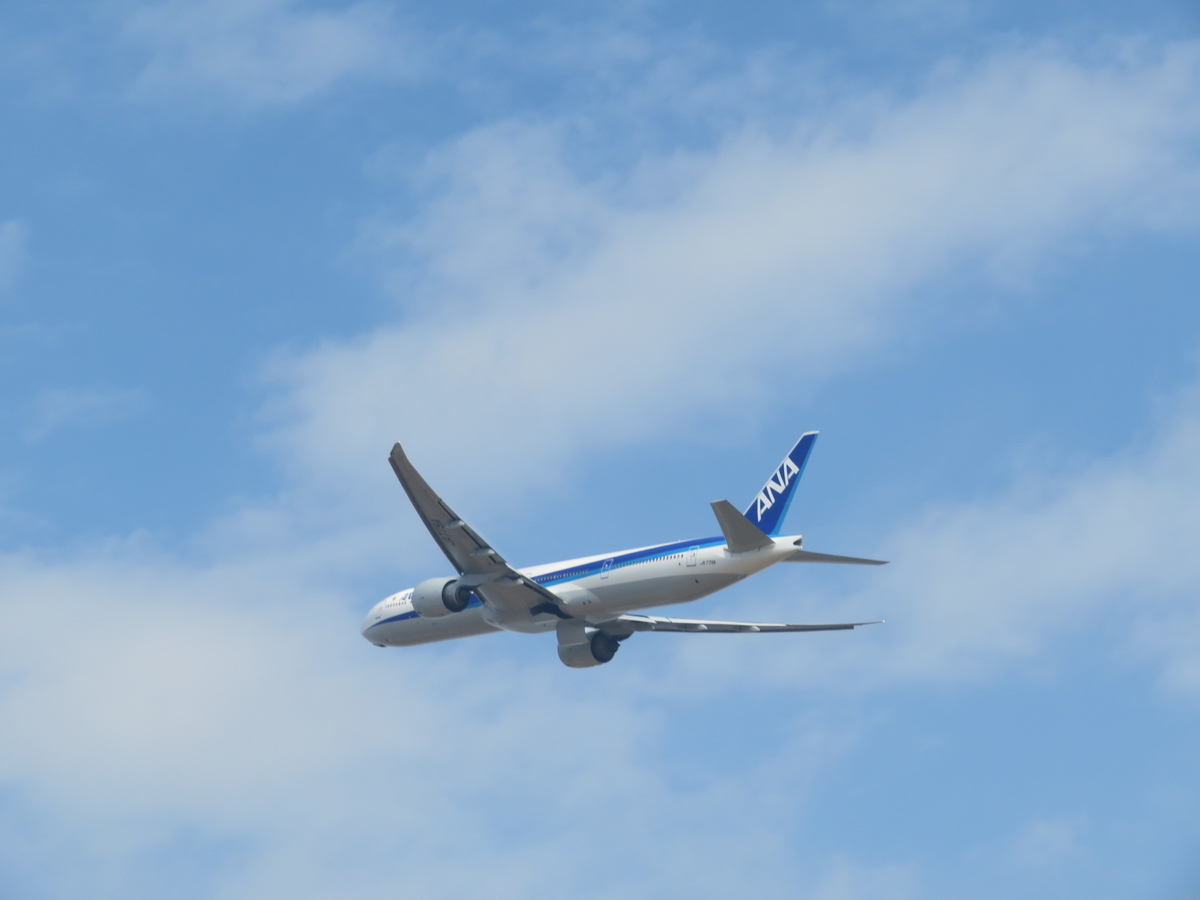 f:id:airplanelove:20191204204522j:plain f:id:airplanelove:20191204204522j:plain