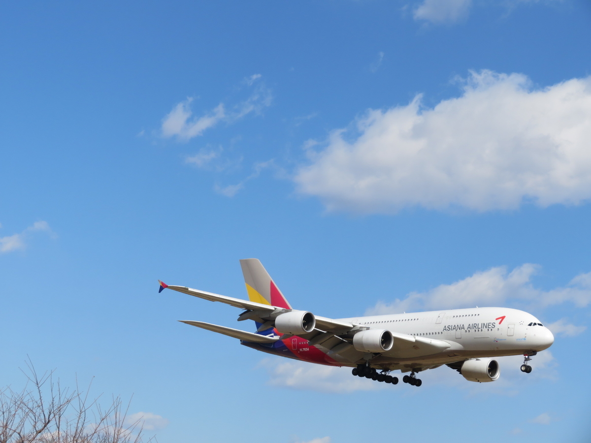 f:id:airplanelove:20191204204749j:plain f:id:airplanelove:20191204204749j:plain