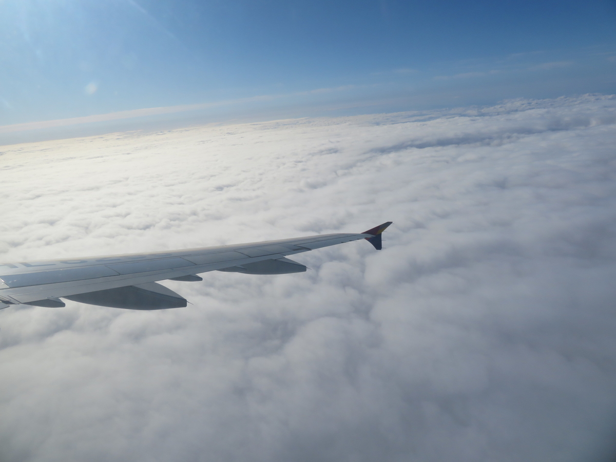 f:id:airplanelove:20200113140834j:plain f:id:airplanelove:20200113140834j:plain