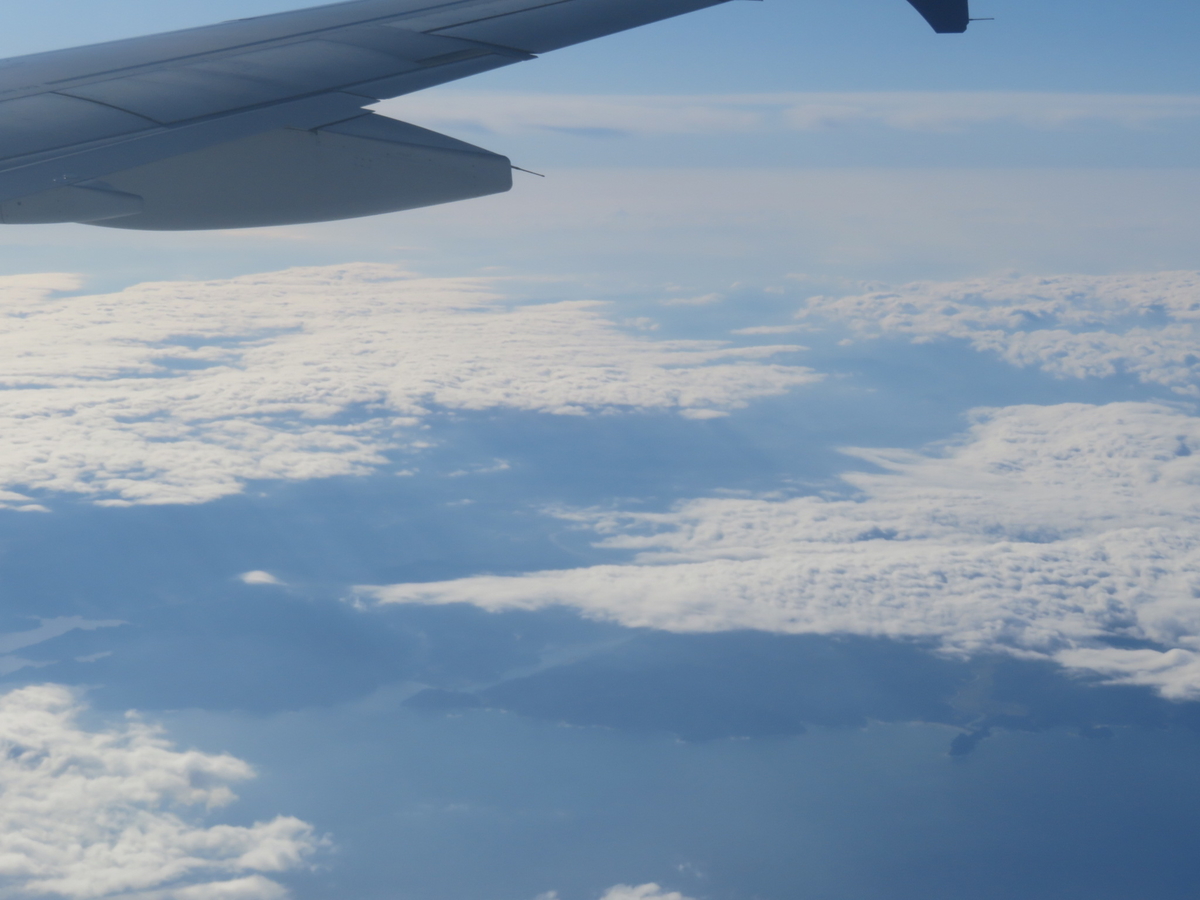 f:id:airplanelove:20200113142236j:plain f:id:airplanelove:20200113142236j:plain