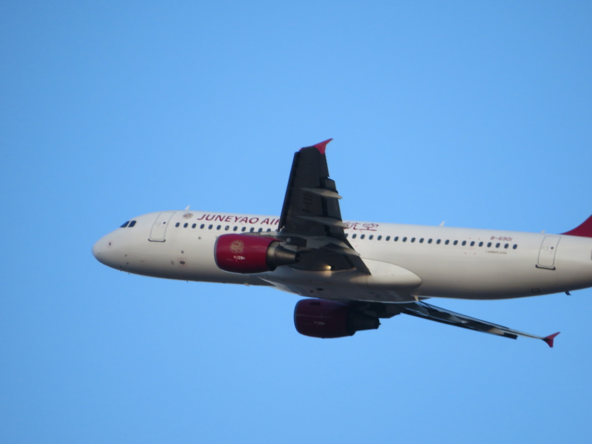 f:id:airplanelove:20200121213656j:plain f:id:airplanelove:20200121213656j:plain