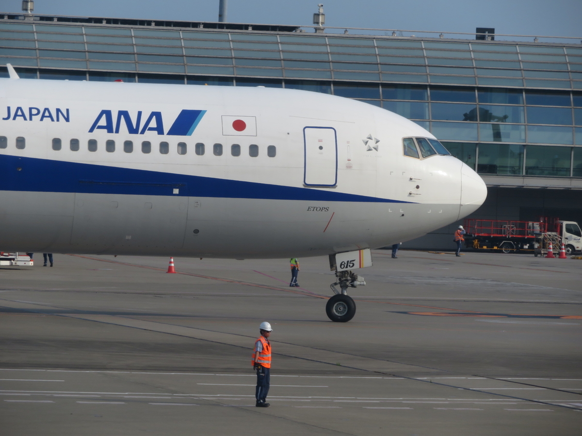 ANA Aviationtag B767 事故経験機 ANA Aviationtag B767 事故経験機 - メルカリ