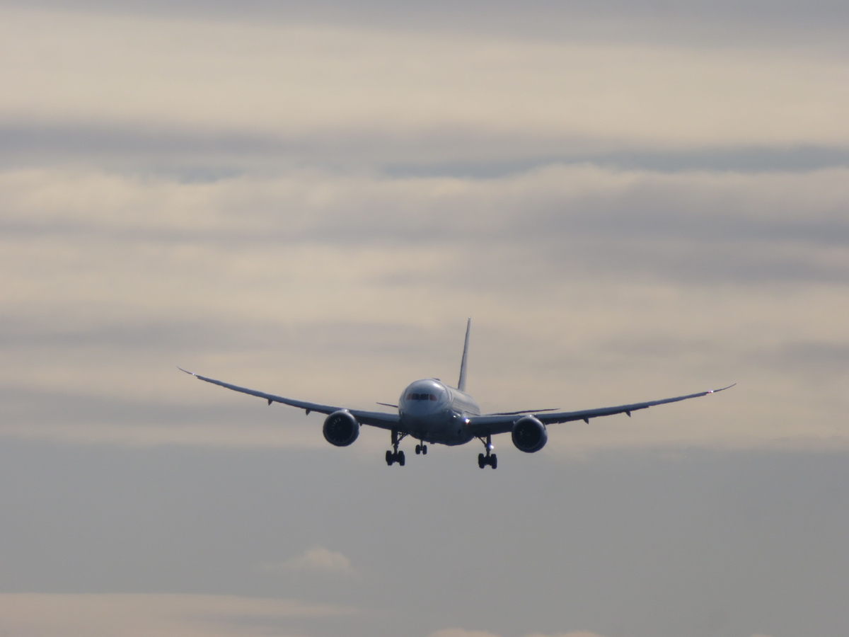 f:id:airplanelove:20200210222236j:plain f:id:airplanelove:20200210222236j:plain