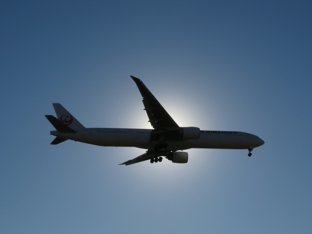 f:id:airplanelove:20200402202158j:plain f:id:airplanelove:20200402202158j:plain