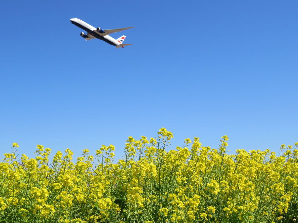 f:id:airplanelove:20200404200615j:plain f:id:airplanelove:20200404200615j:plain