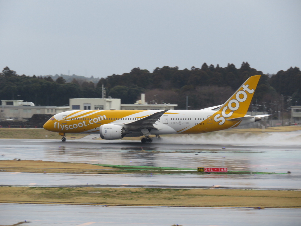 f:id:airplanelove:20200413210424j:plain f:id:airplanelove:20200413210424j:plain