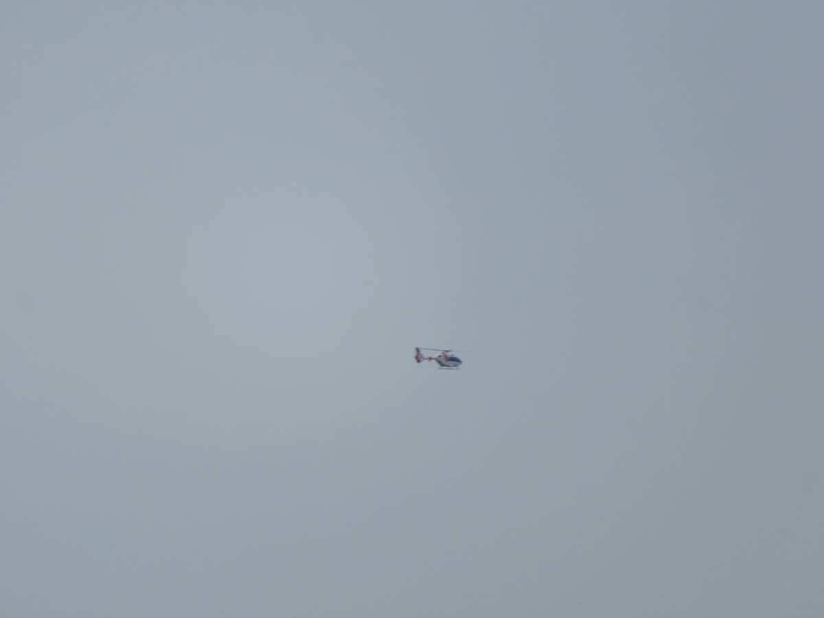 f:id:airplanelove:20200724152023j:plain f:id:airplanelove:20200724152023j:plain