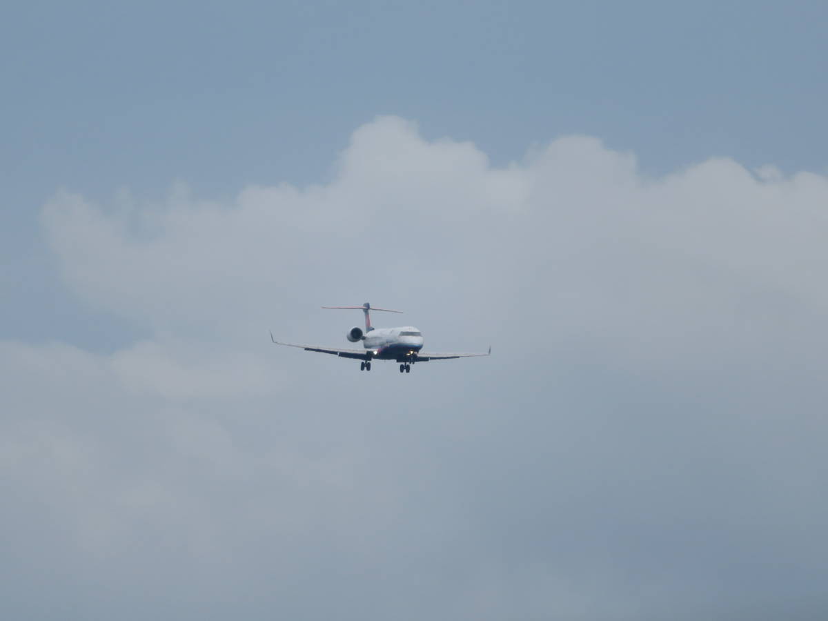 f:id:airplanelove:20200724152406j:plain f:id:airplanelove:20200724152406j:plain