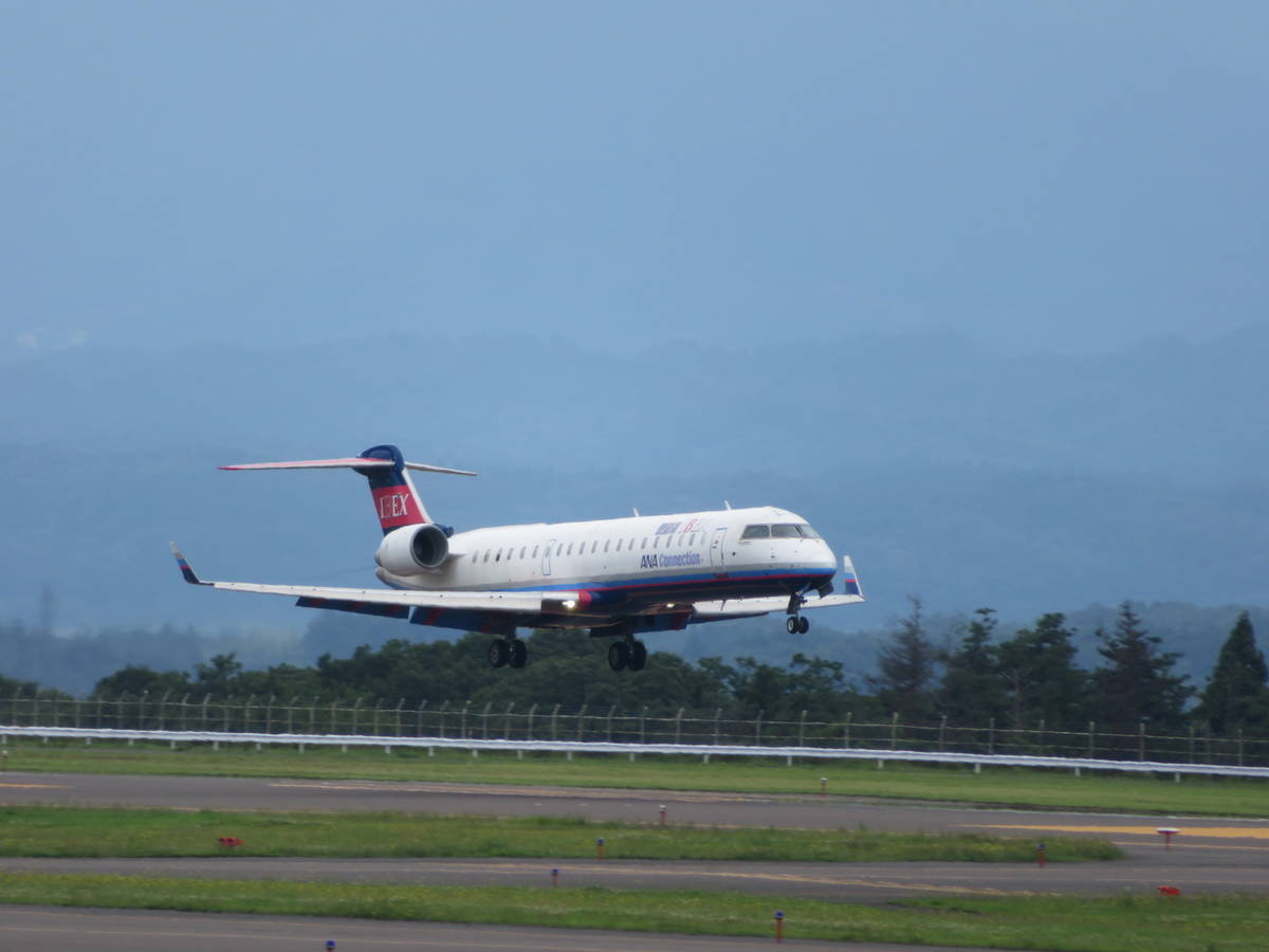 f:id:airplanelove:20200724152417j:plain f:id:airplanelove:20200724152417j:plain
