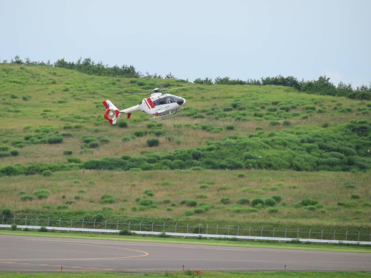f:id:airplanelove:20200724153338j:plain f:id:airplanelove:20200724153338j:plain