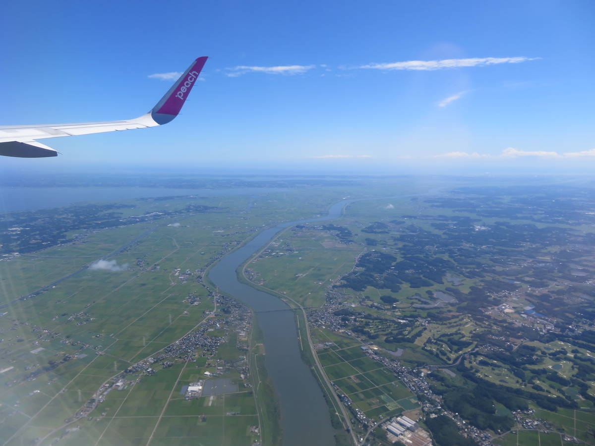 MM553便成田→宮崎 ピーチ Peach搭乗記】楽しみ方を伝授しよう - 航空
